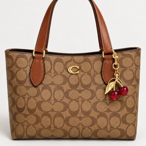 38E42C28-BE30-45D2-B7D8-E111A46197AF Coach Bucket Bag
