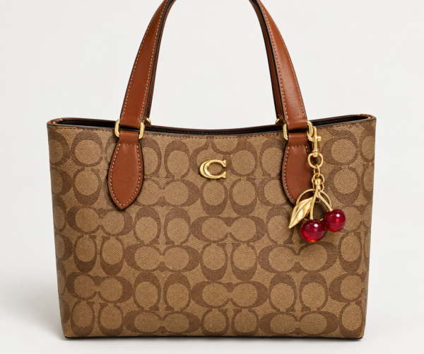 38E42C28-BE30-45D2-B7D8-E111A46197AF Coach Bucket Bag
