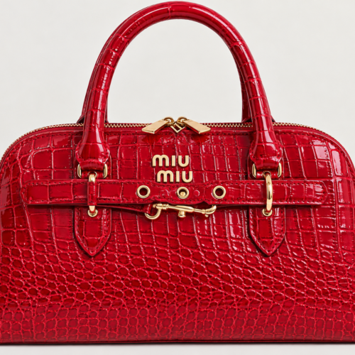 8C0F0BC7-C11E-4A95-8FAE-6B2B30F0352C Miu Miu bag red