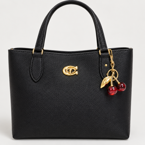 F78C587A-ED13-4C11-BEC5-0D3EF112CC5F Coach Bucket Bag