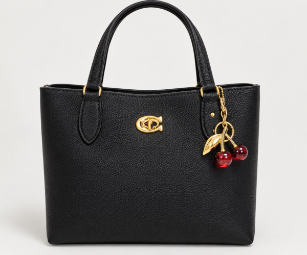 F78C587A-ED13-4C11-BEC5-0D3EF112CC5F Coach Bucket Bag