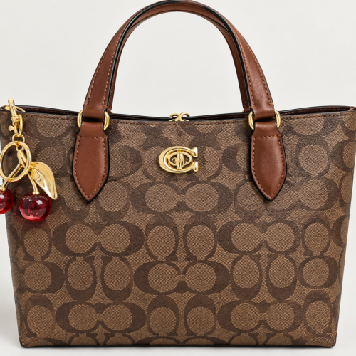 FC56418E-E5F2-429A-8484-FE9DD3240F7A coach Willow Soft Bucket Bag