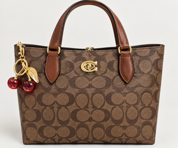 FC56418E-E5F2-429A-8484-FE9DD3240F7A coach Willow Soft Bucket Bag